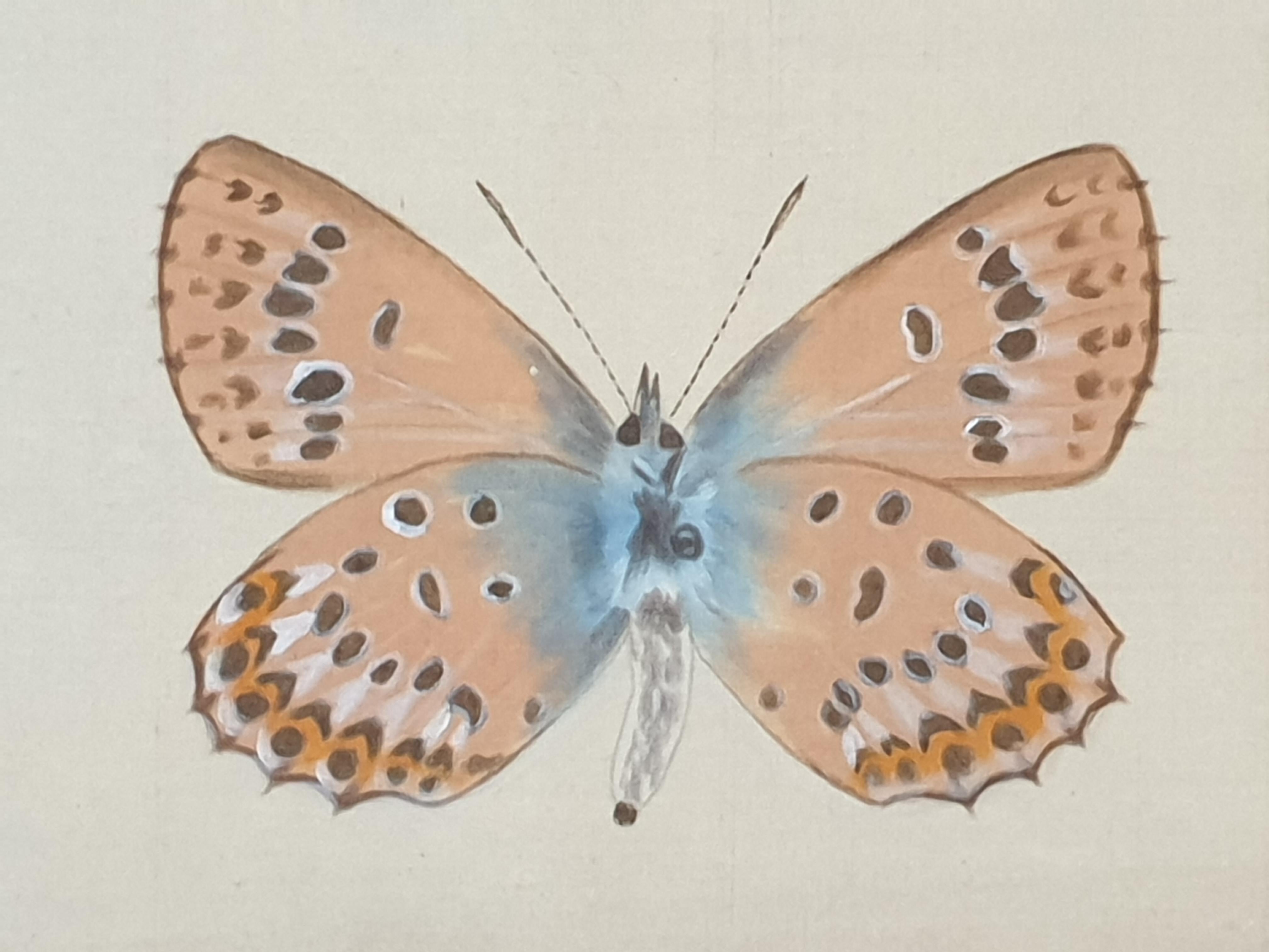 Studie eines Schmetterlings, Aquarell auf Seide auf handgeschöpftem Papier angewendet.  im Angebot 3