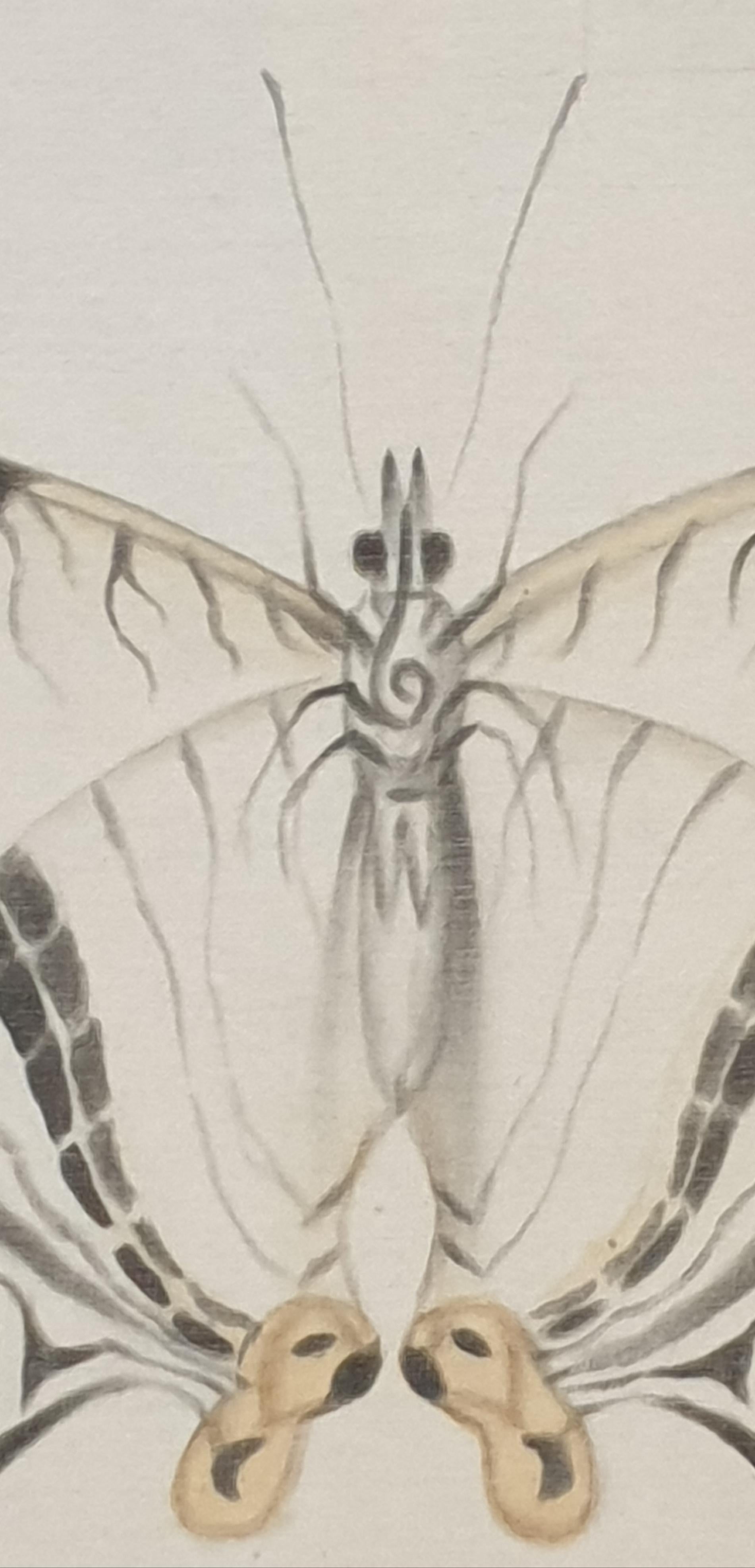 Studie eines Schmetterlings, Aquarell auf Seide auf handgeschöpftem Papier angewendet.  (Beige), Animal Art, von La Roche Laffitte