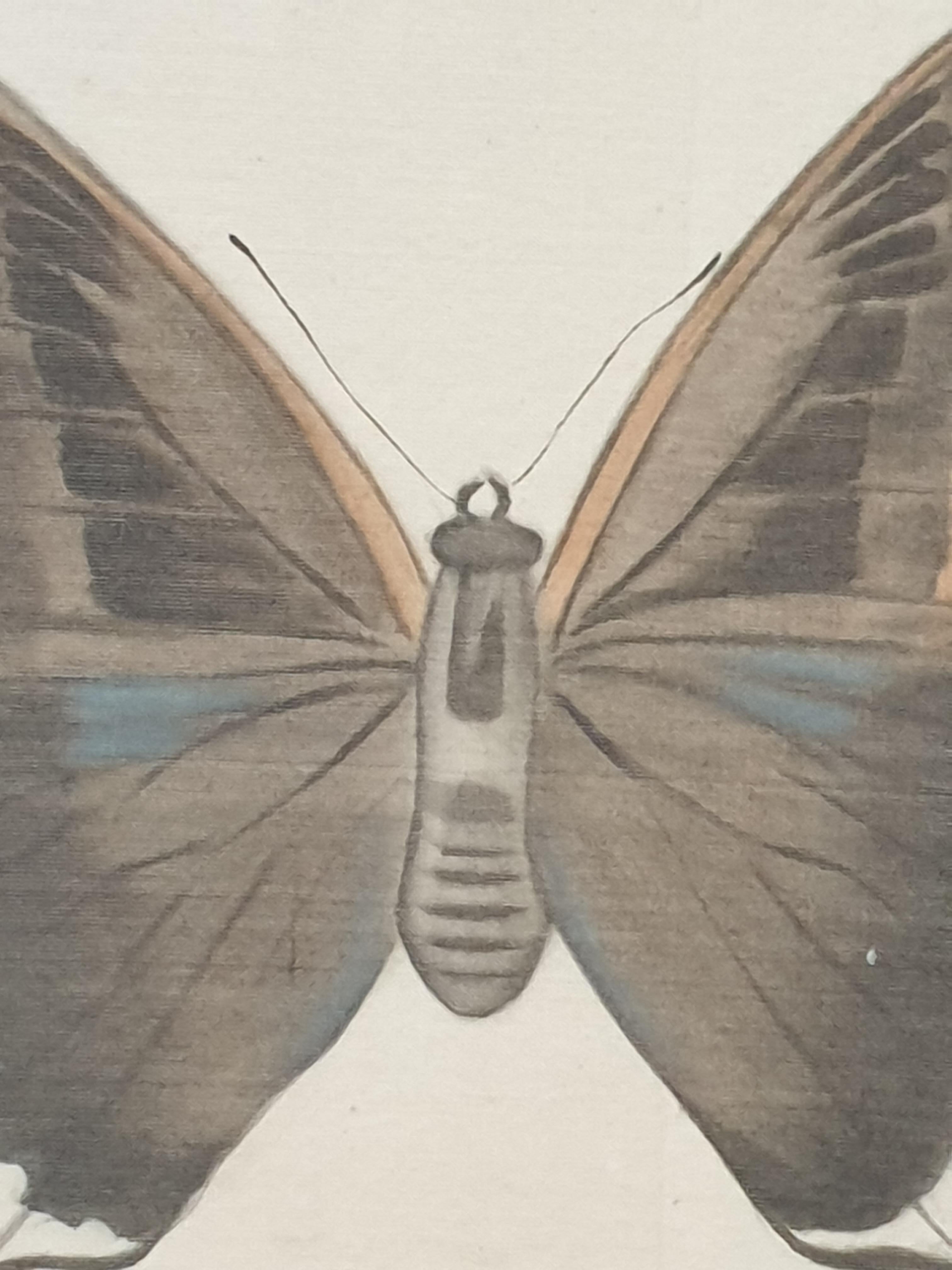 Study of a Butterfly, Watercolour Silk applied Handmade Paper. La Roche Laffitte For Sale 7