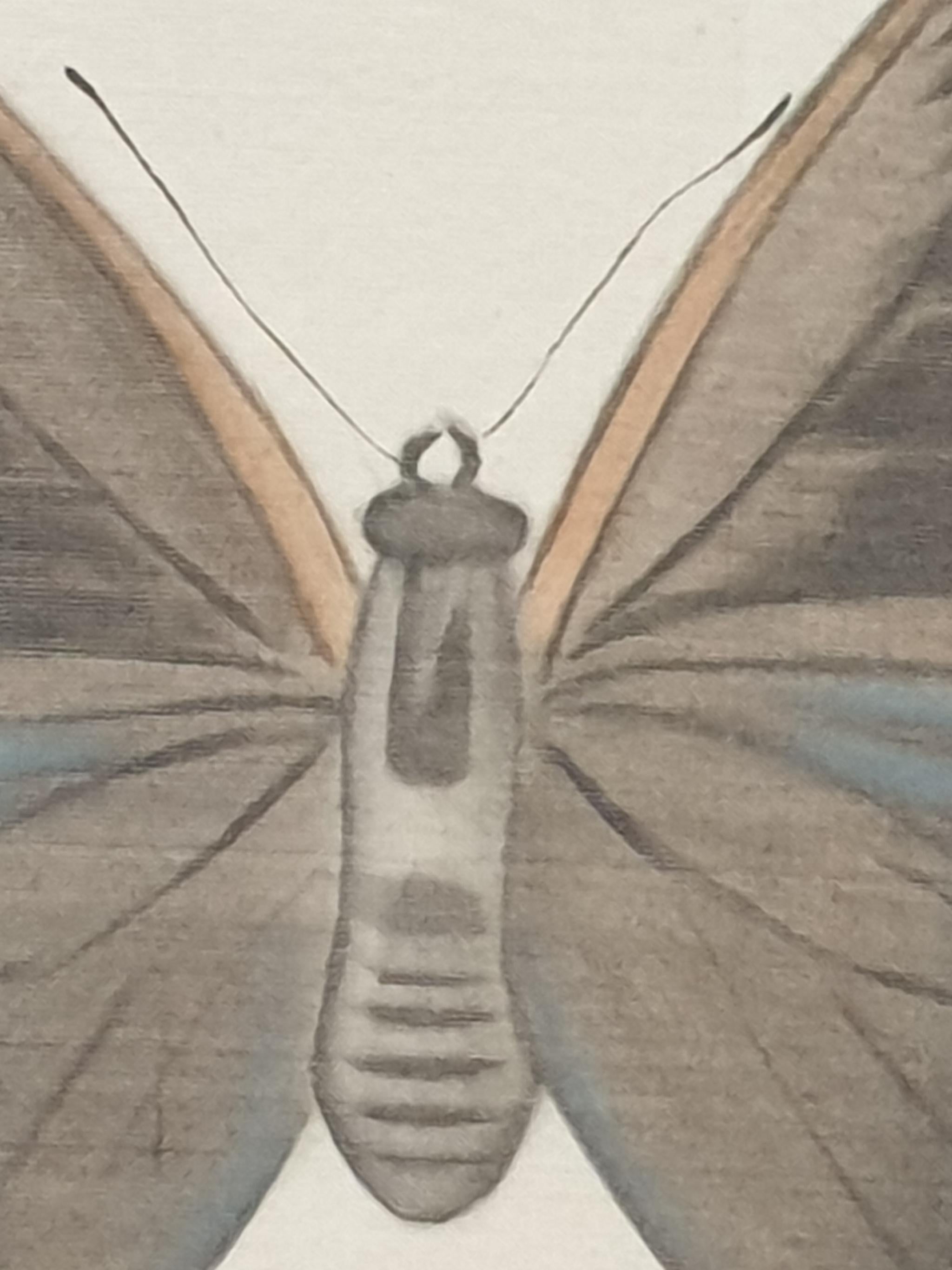 Study of a Butterfly, Watercolour Silk applied Handmade Paper. La Roche Laffitte For Sale 4
