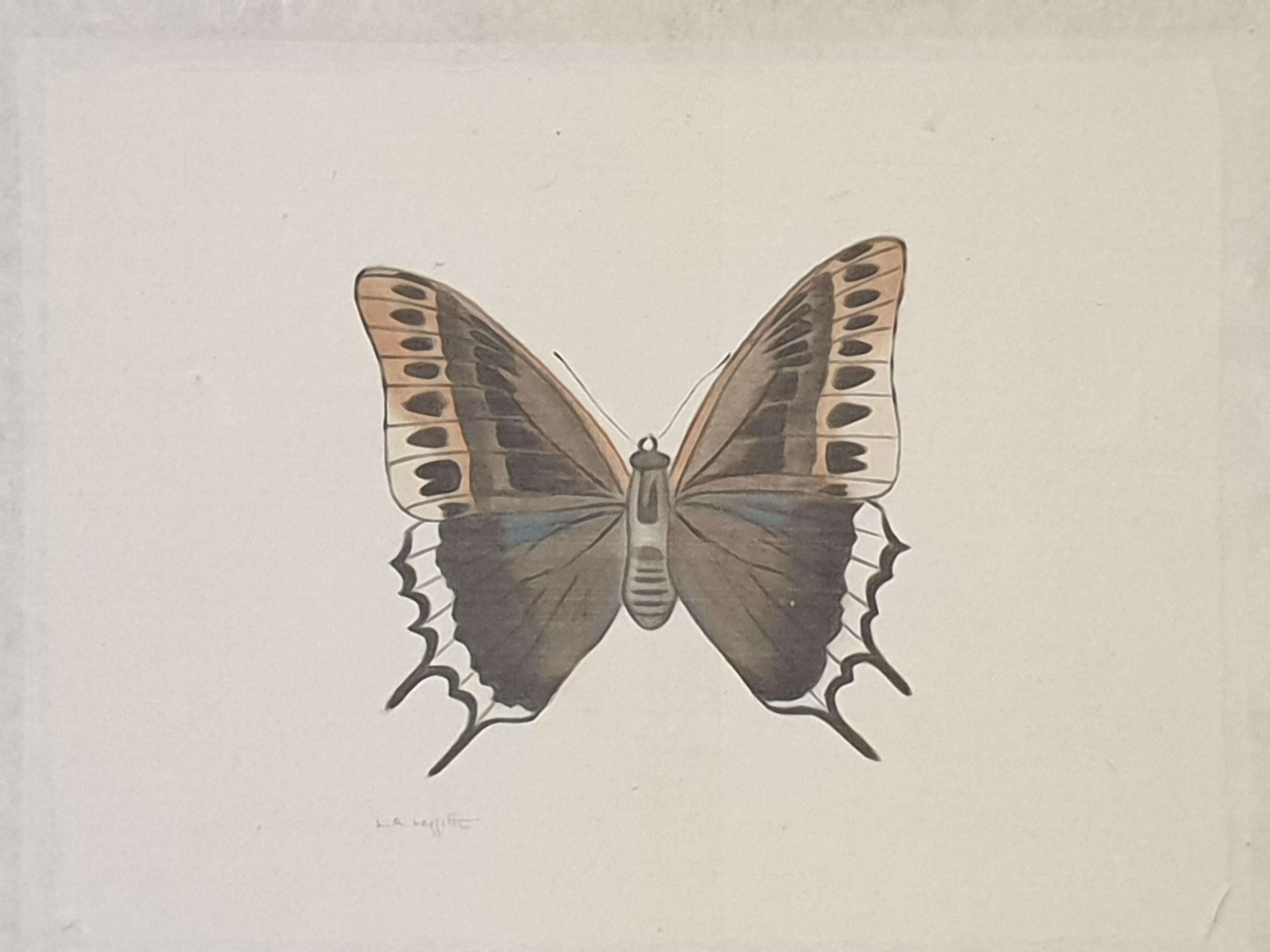Étude d'un papillon, papier de soie appliqué à l'aquarelle fait main. La Roche Laffitte en vente 9