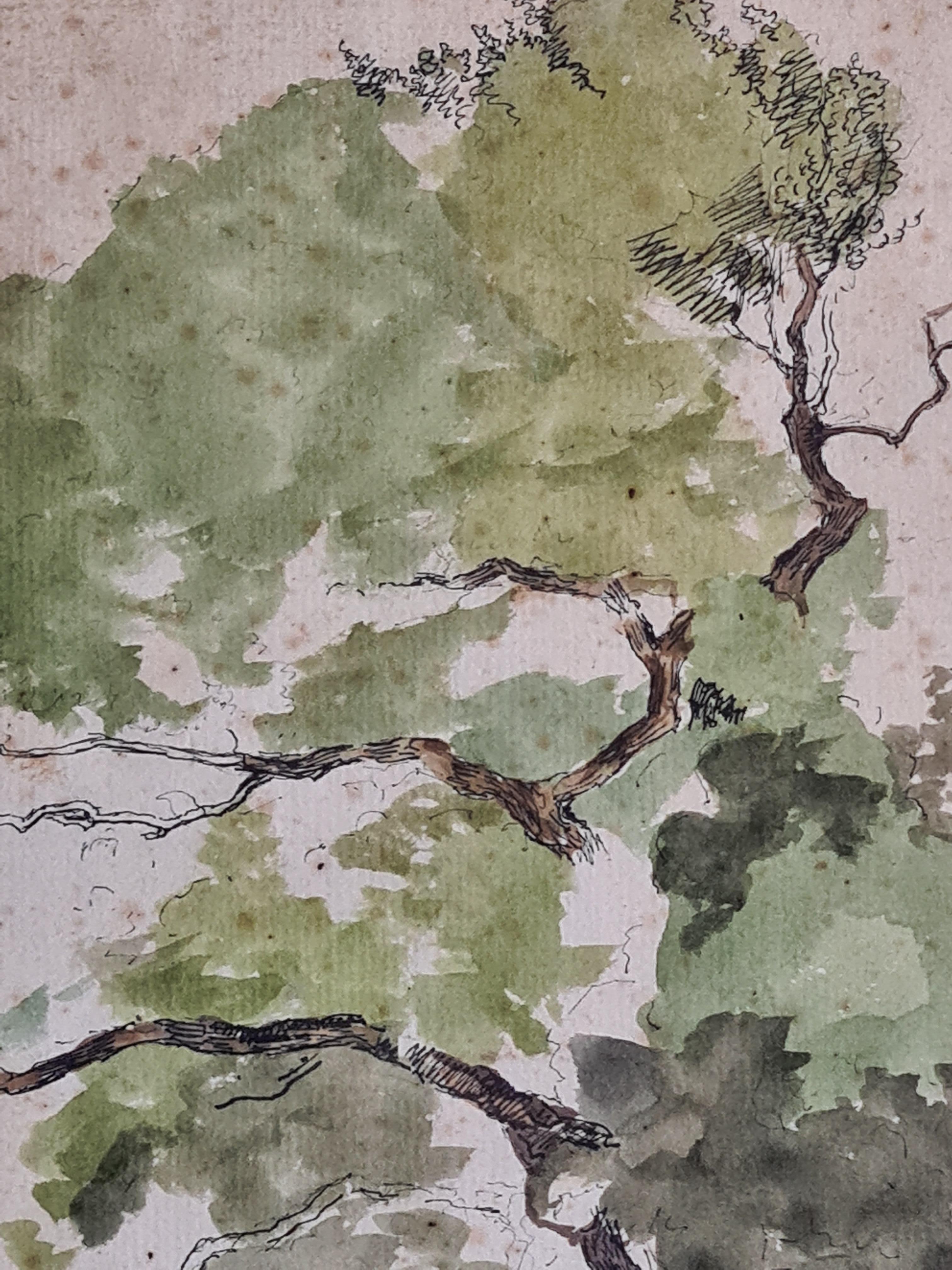 Aquarellzeichnung und Aquarellstudie eines Baumes aus der Mitte des 19. Jahrhunderts von dem bekannten dänischen Künstler Thorald Læssøe. Das Werk ist links unten monogrammiert und rechts unten mit einer Anmerkung der Künstlerhand versehen. Auf der