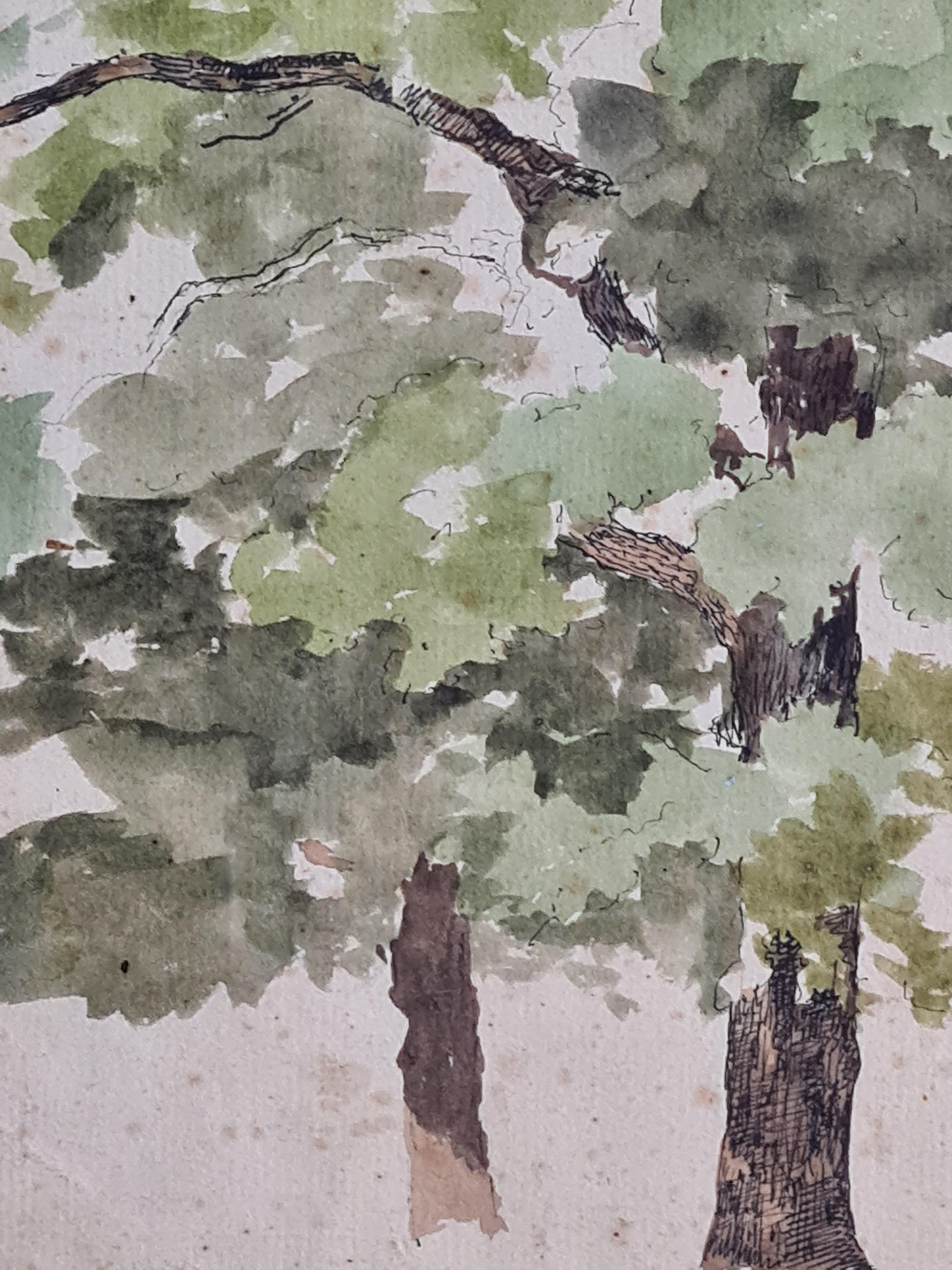 19th Century Danish Drawing and Watercolour Study of a Tree at Indelluket For Sale 1