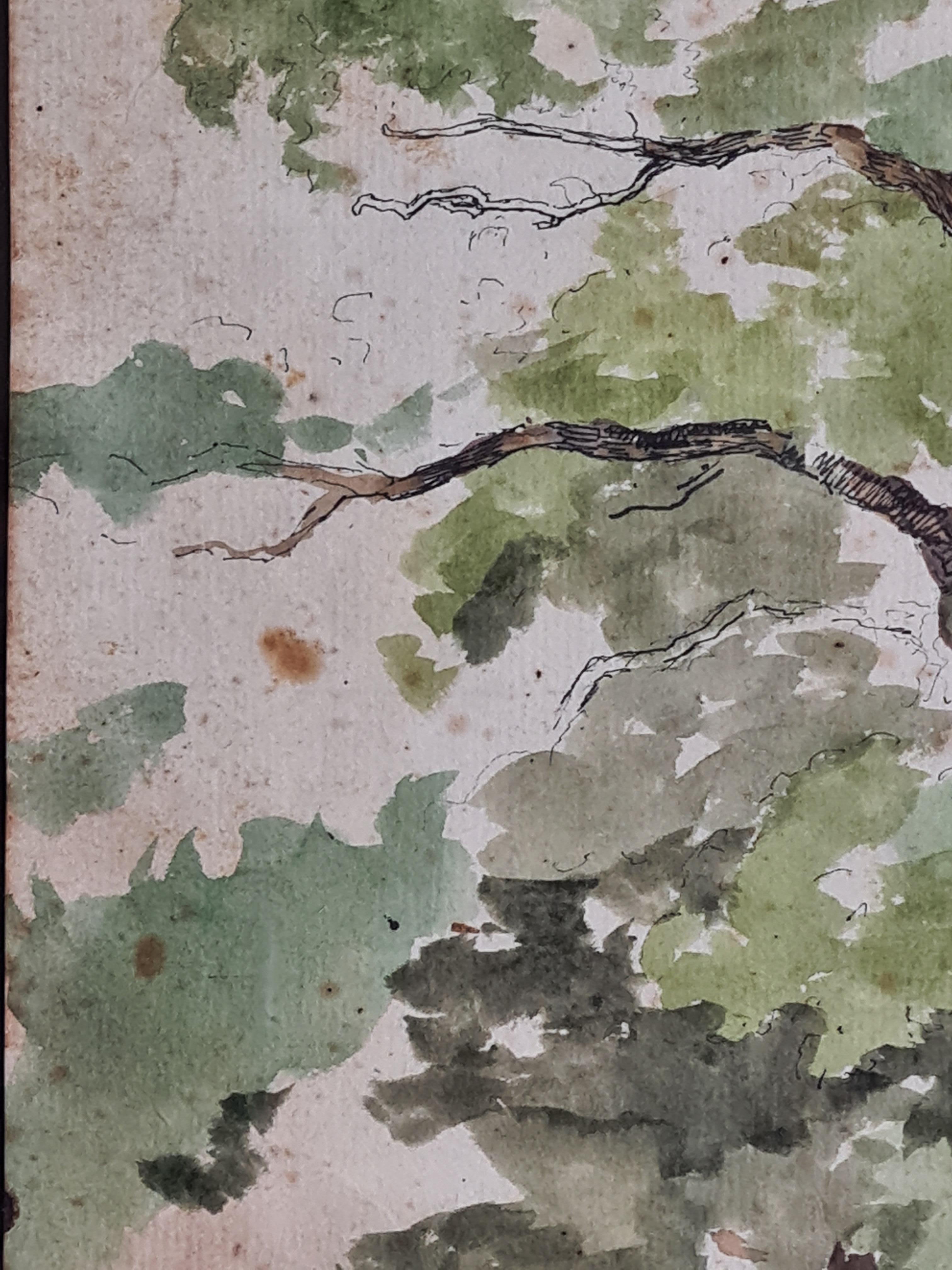 19th Century Danish Drawing and Watercolour Study of a Tree at Indelluket For Sale 2