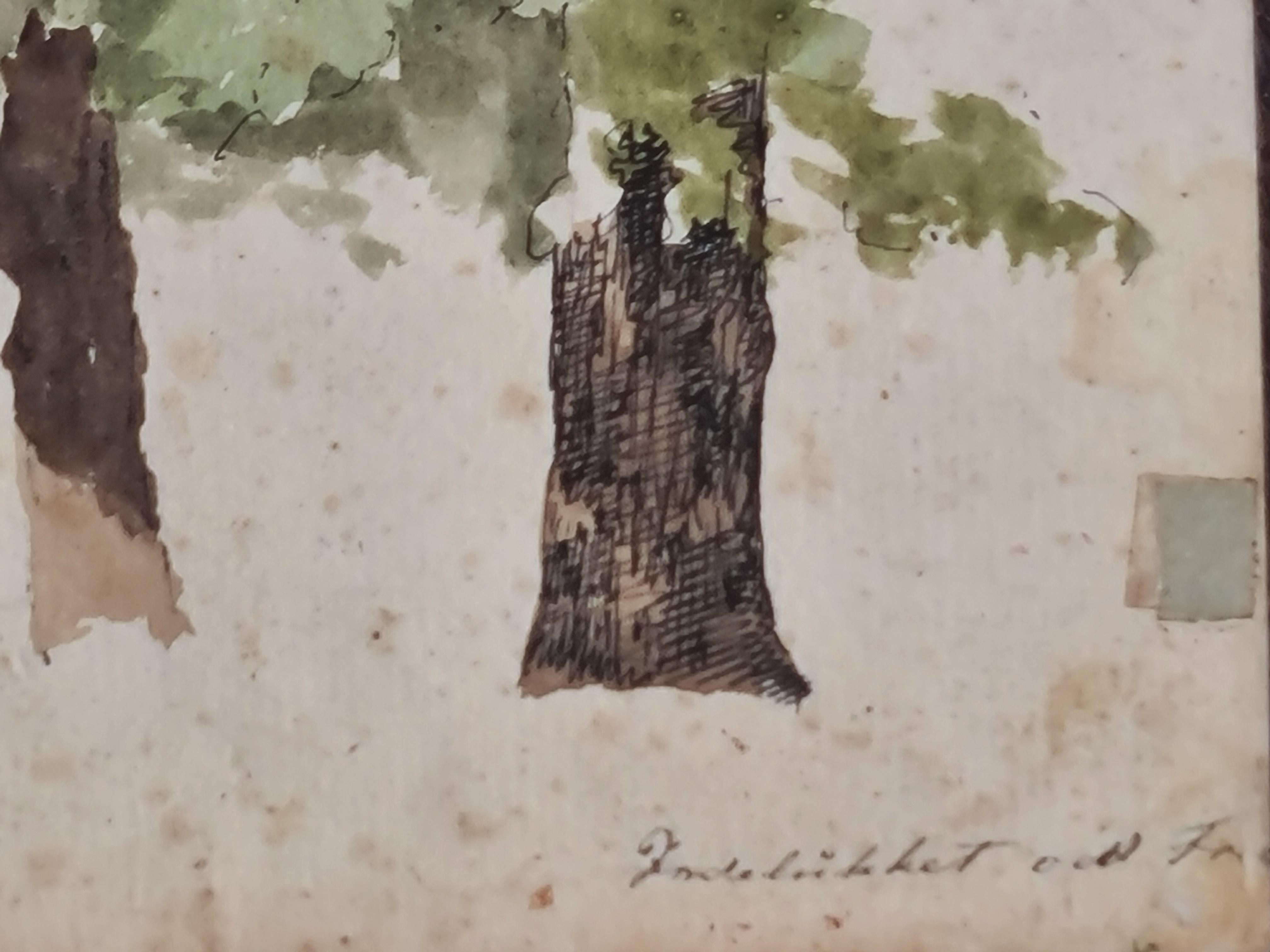 19th Century Danish Drawing and Watercolour Study of a Tree at Indelluket For Sale 5