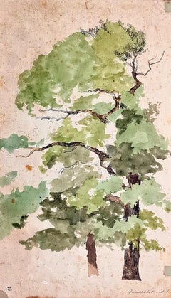 19th Century Danish Drawing and Watercolour Study of a Tree at Indelluket