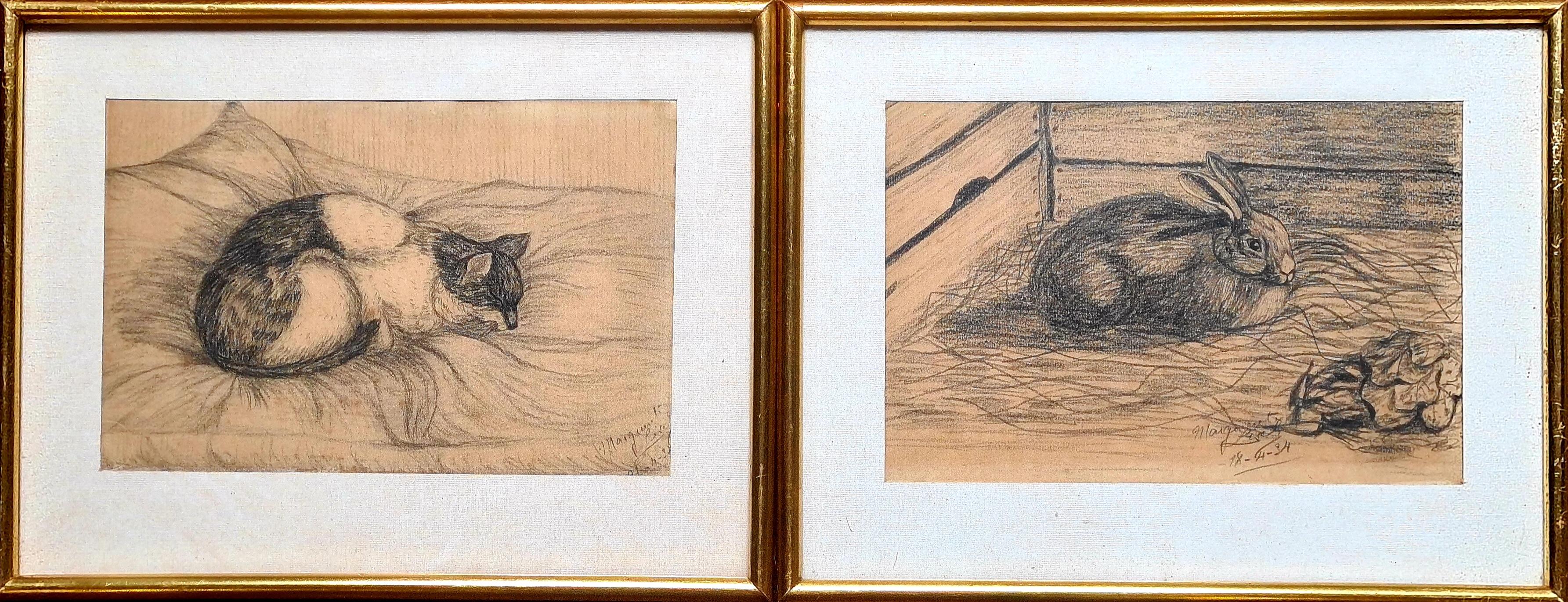 El conejo y el gato