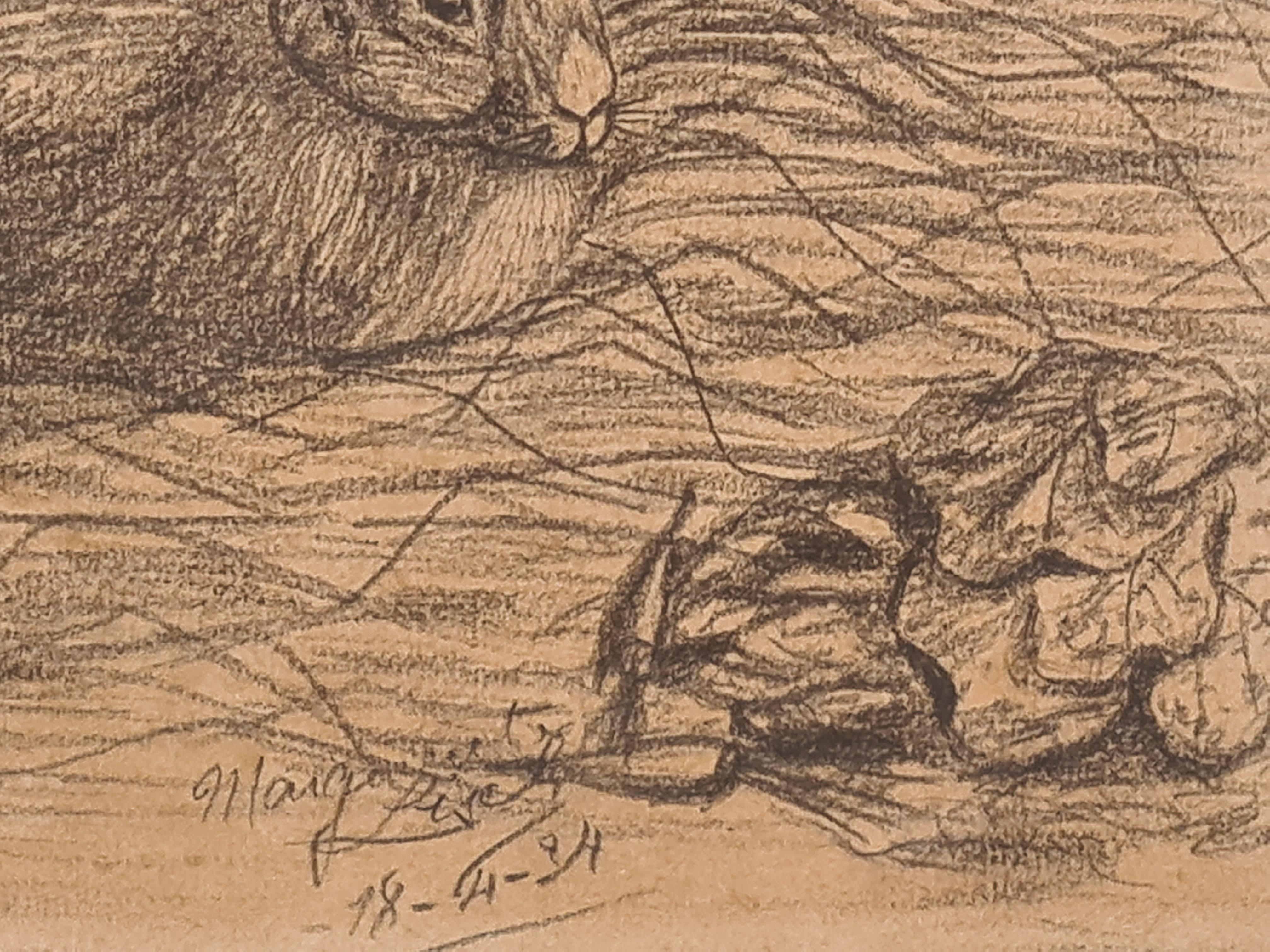 Ein Paar Zeichnungen auf Papier von einem Kaninchen und einer Katze von Margaret Lisel. Sie sind beide unten rechts signiert und für 1934 datiert. Die Zeichnungen werden als Paar in schlichten Goldrahmen präsentiert.

Ein Paar super niedliche