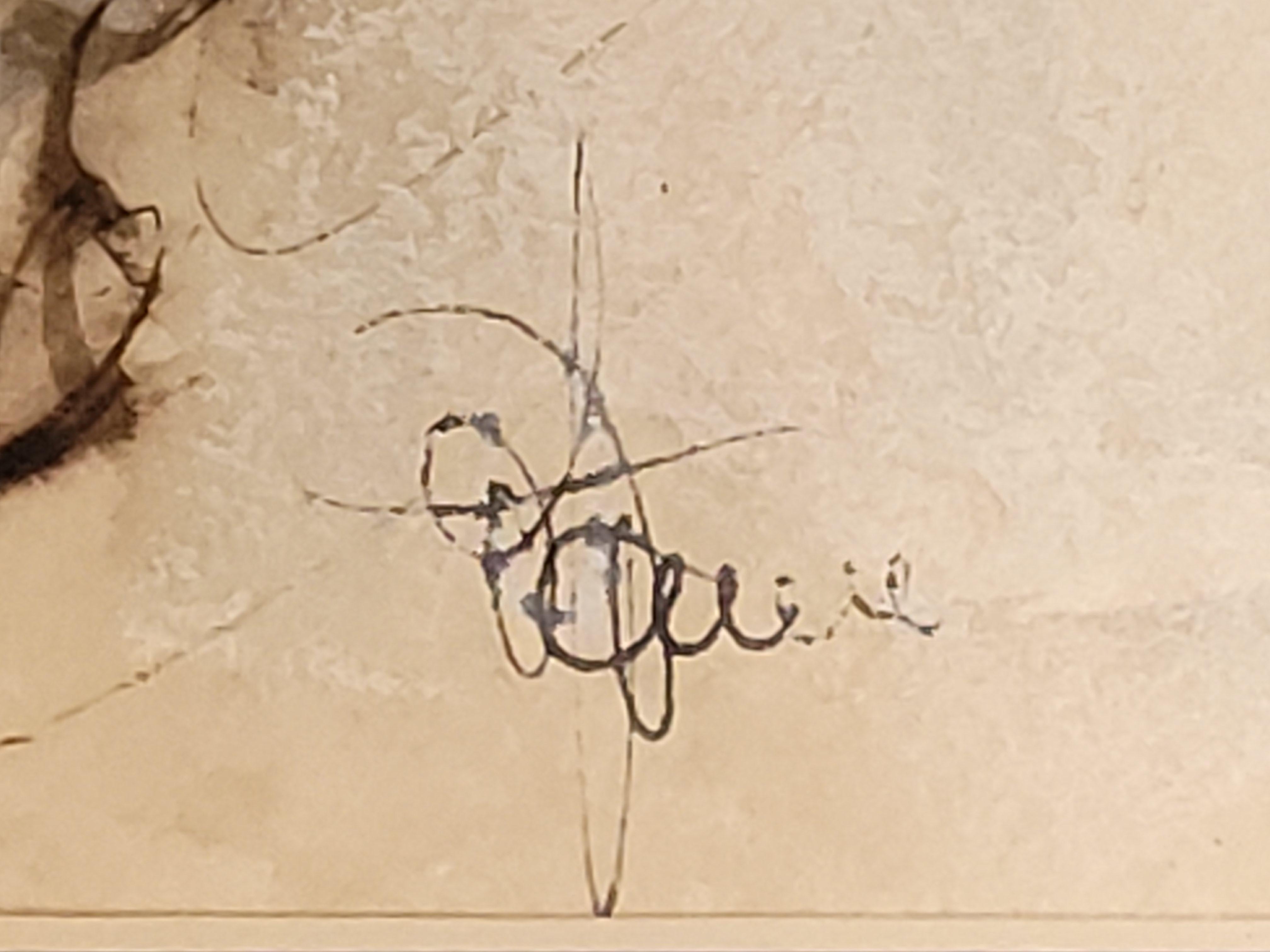 Cavallo e trappola. Guazzo e acquerello. in vendita 7