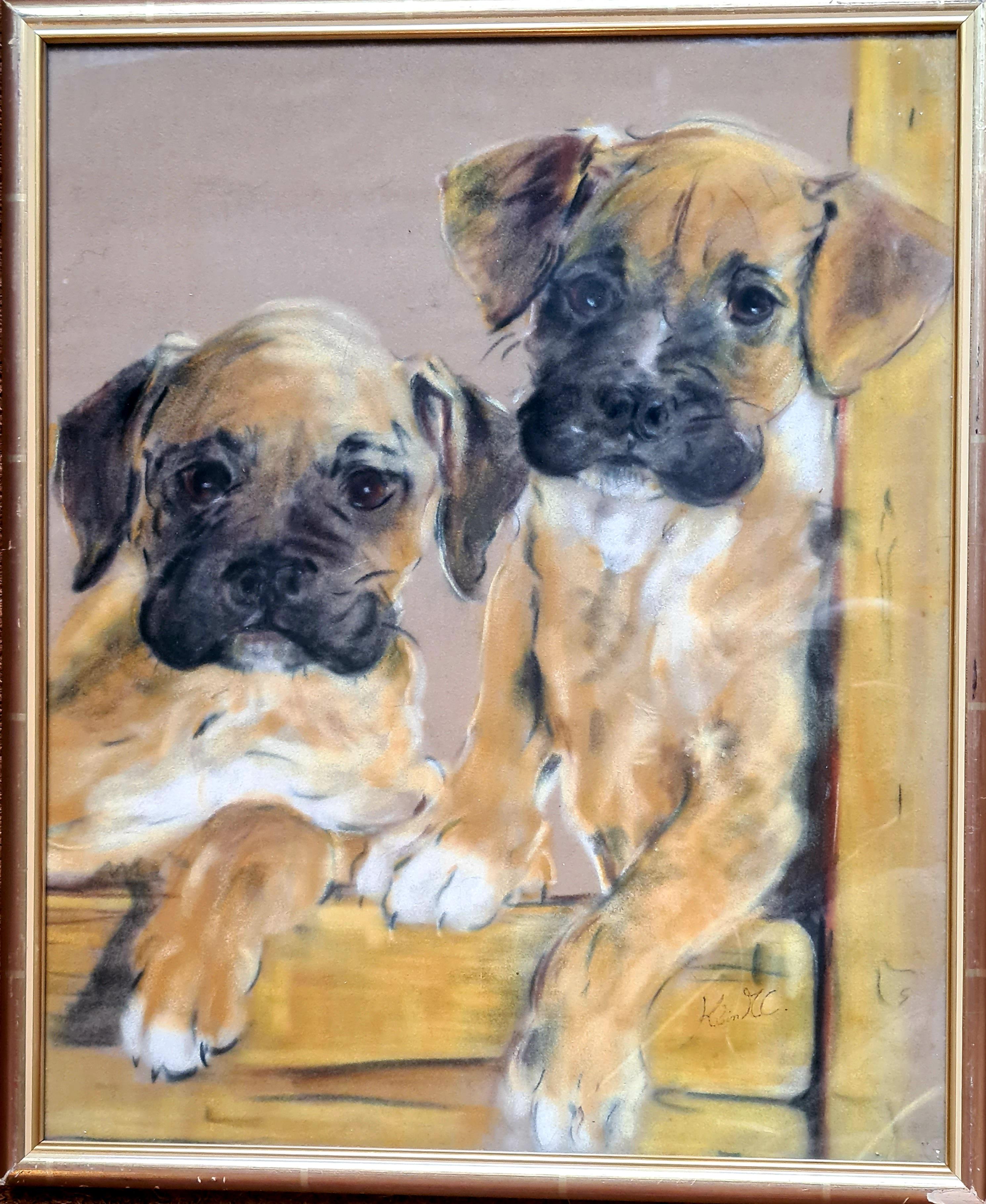 Cuccioli di Boxer, pastello su carta