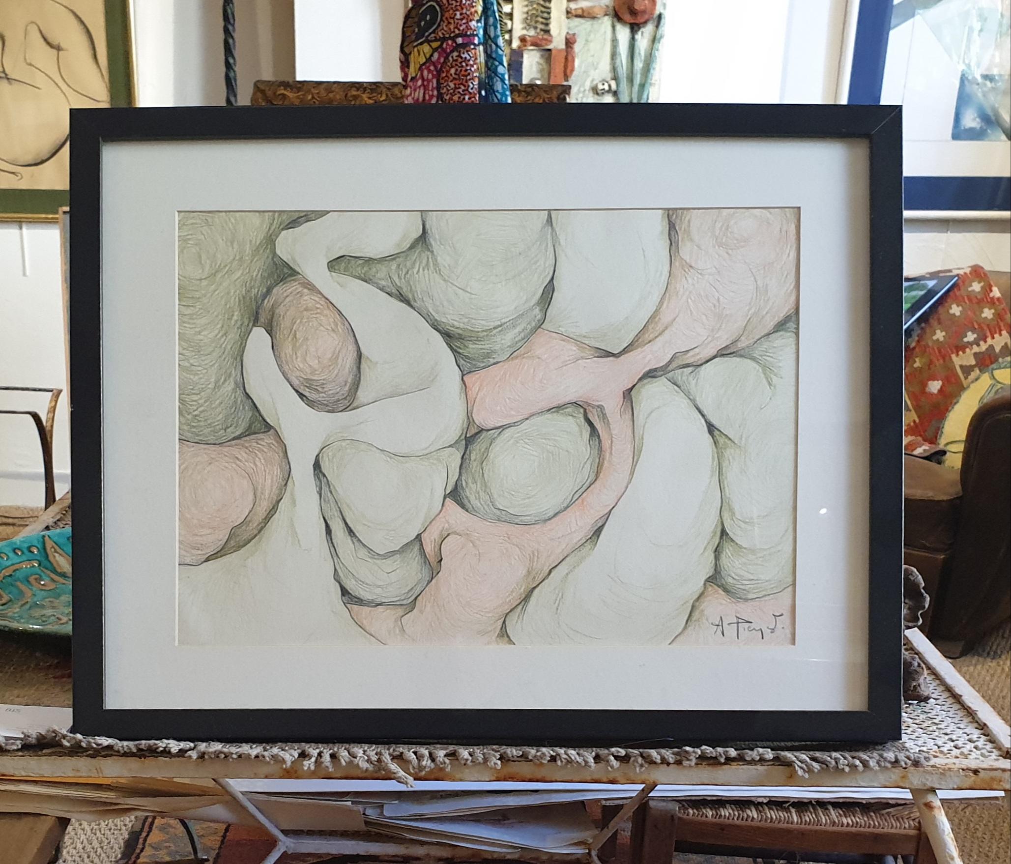 Abstract Expressionist Biomorphic Coloured Pencil Drawing. For Sale 4