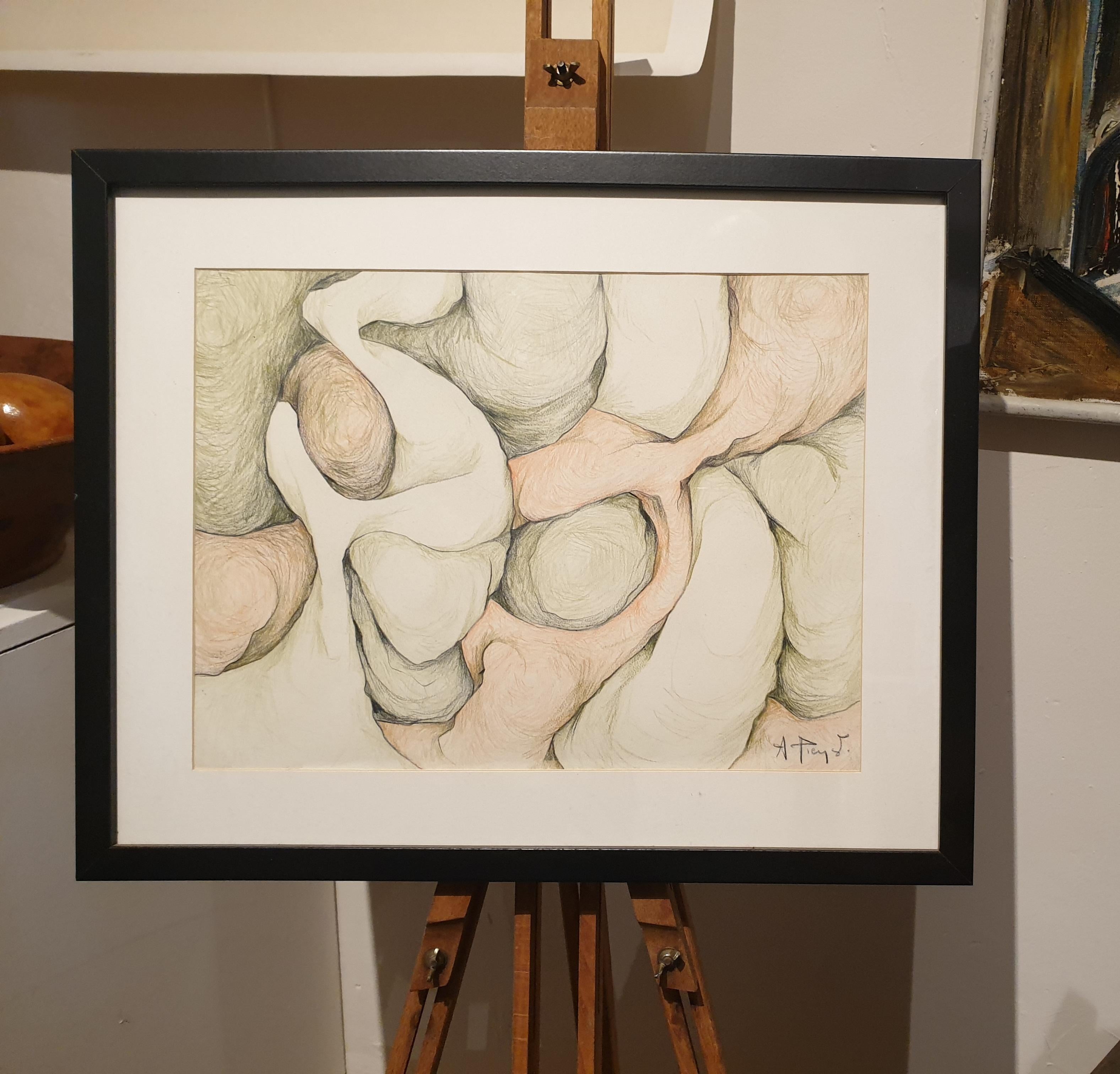 Abstract Expressionist Biomorphic Coloured Pencil Drawing. For Sale 5