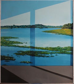Pantanal 1974