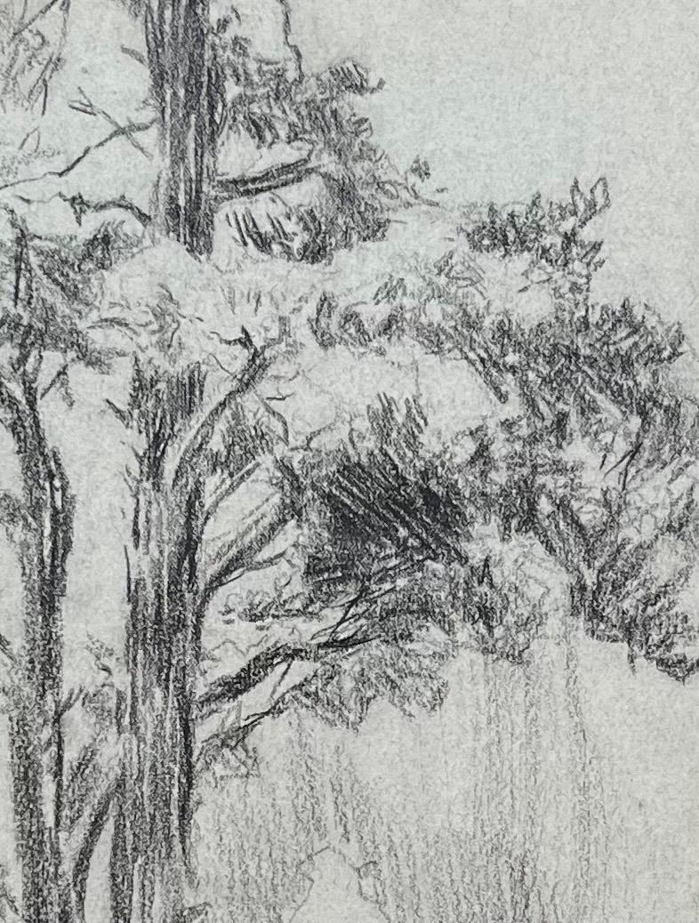 Tree by Otto Vautier - Graphite on paper - 21x29 cm For Sale 3