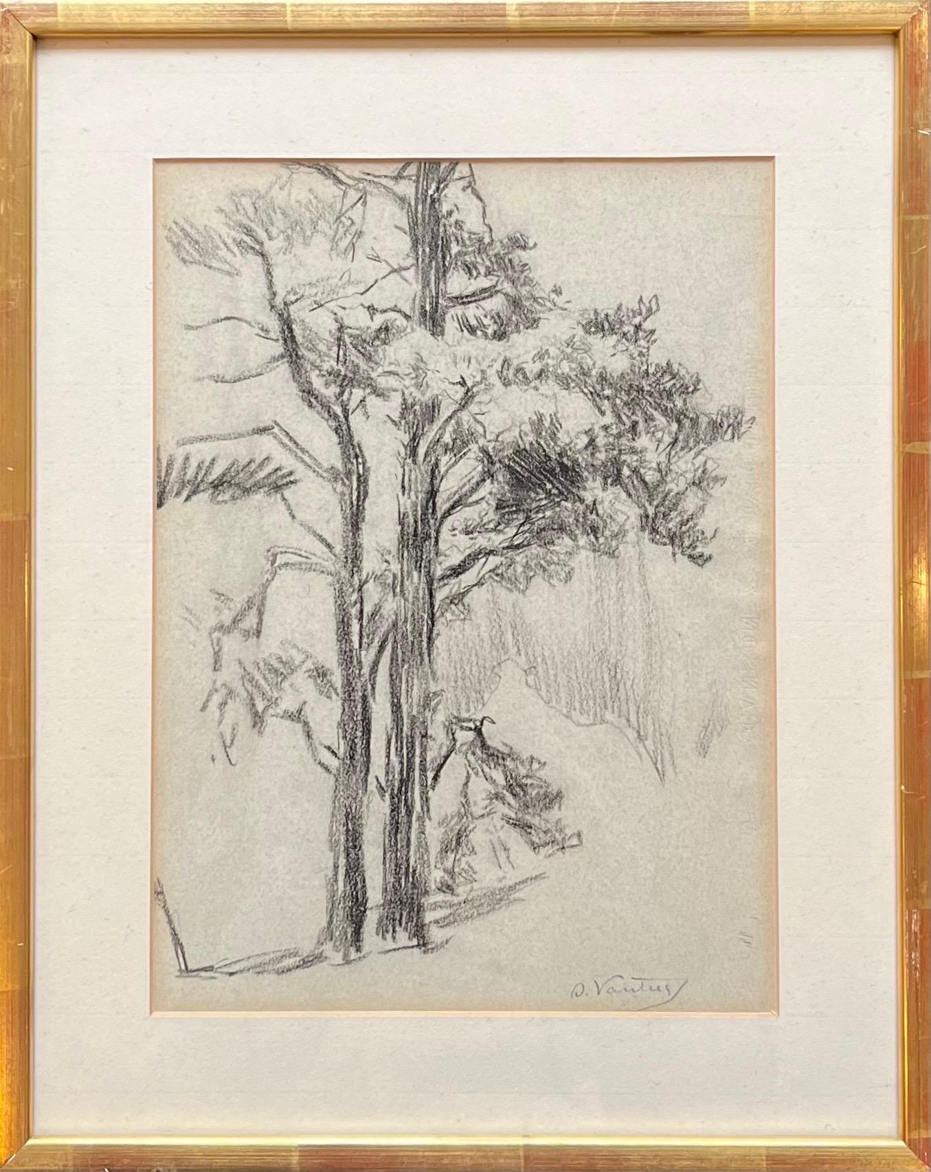 Tree by Otto Vautier - Graphite on paper - 21x29 cm For Sale 1