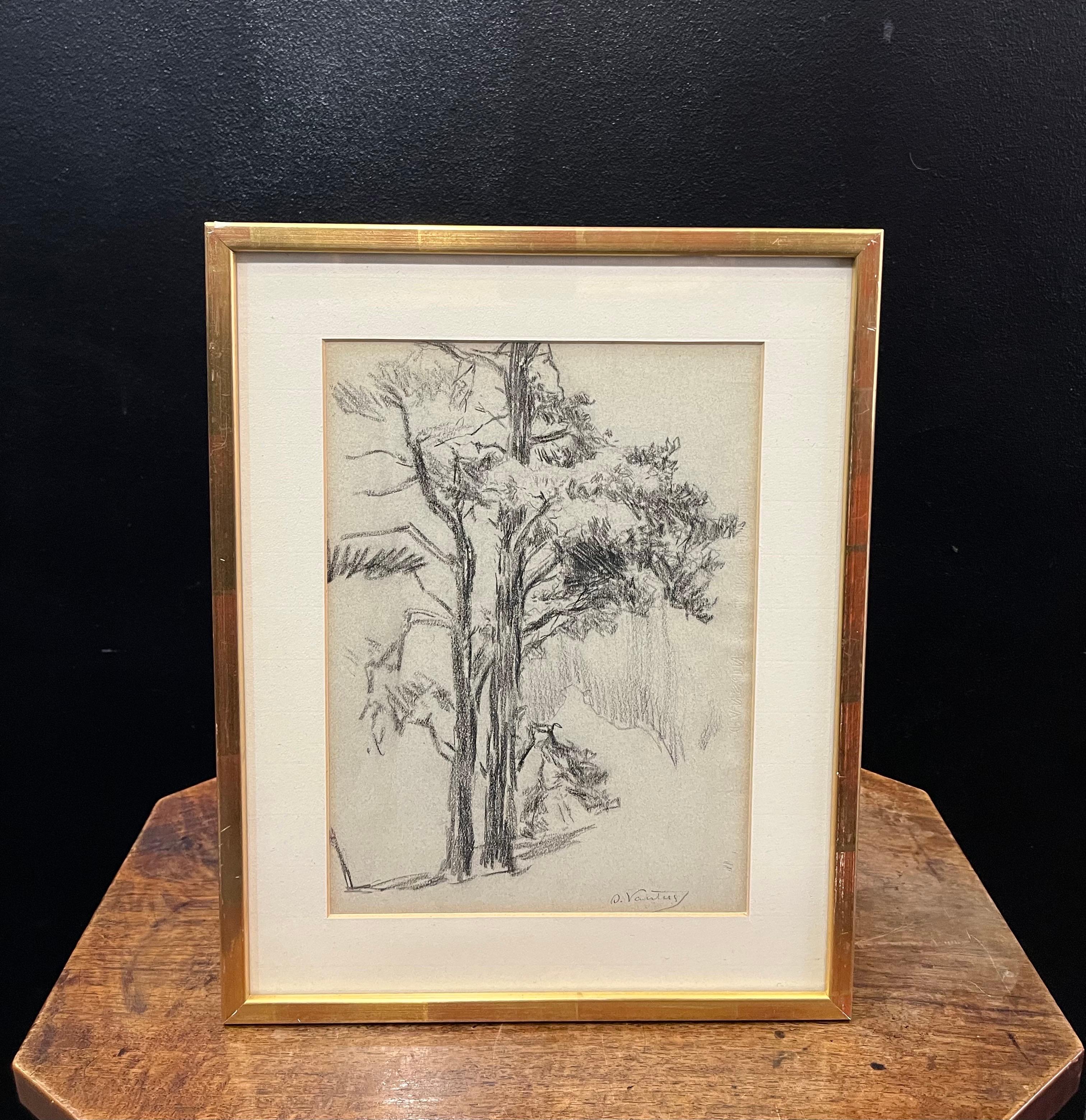 Tree by Otto Vautier - Graphite on paper - 21x29 cm For Sale 5