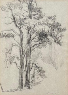 Tree by Otto Vautier - Graphite on paper - 21x29 cm