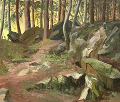 The Ormonts forest
