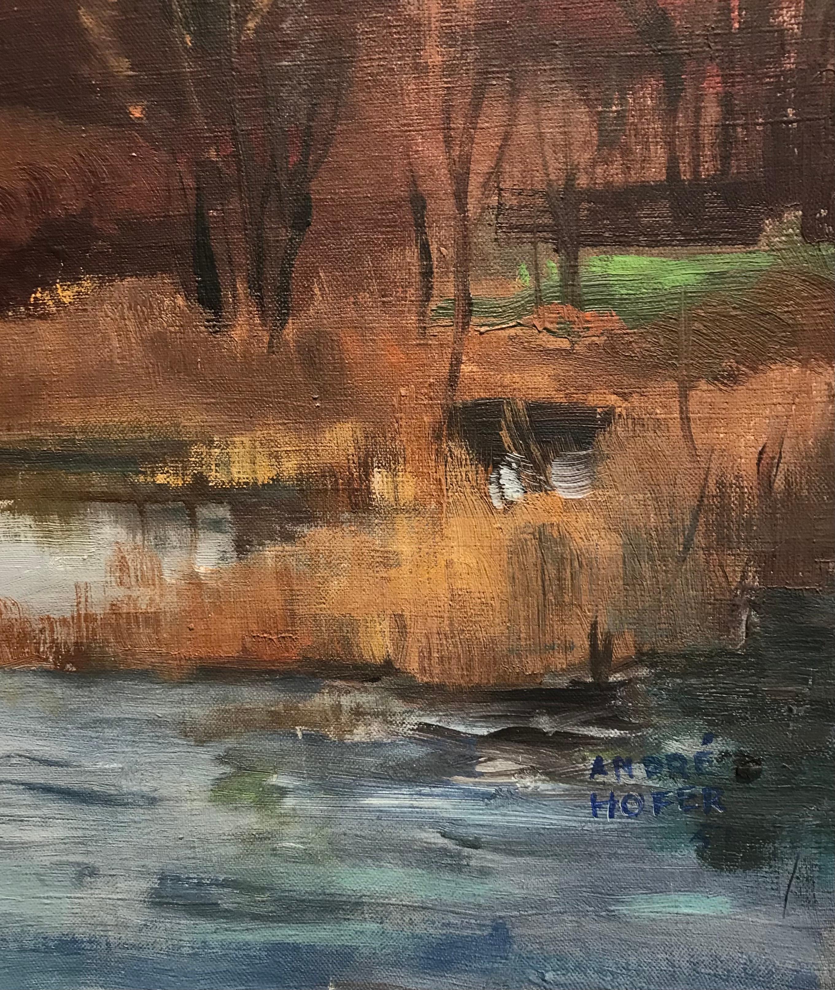 Paludi di André Hofer - Olio su tela 54x65 cm in vendita 2