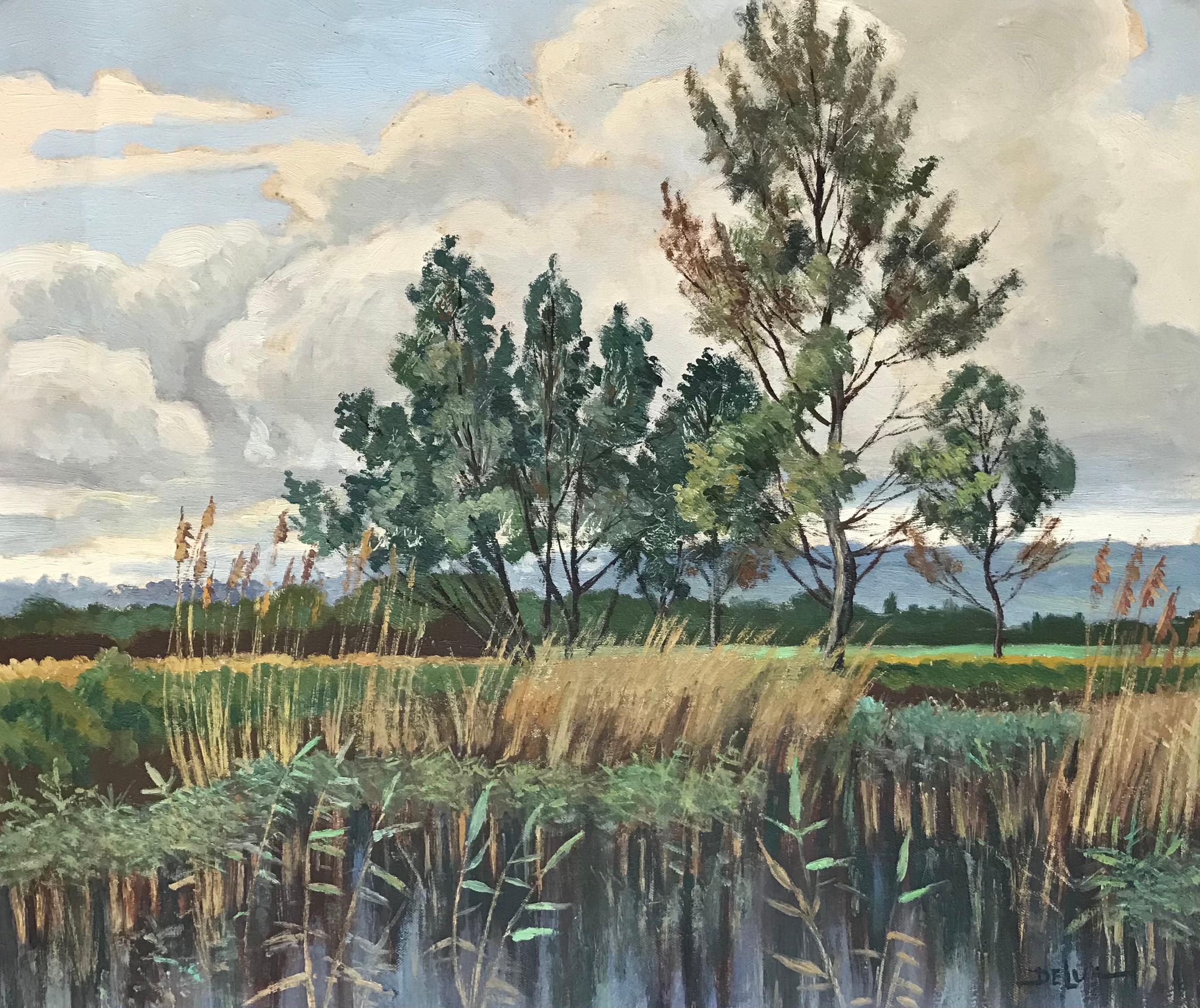 John Henri Deluc Landscape Painting - The swamp, Troinex Geneva by John Henry Deluc - oil on canvas