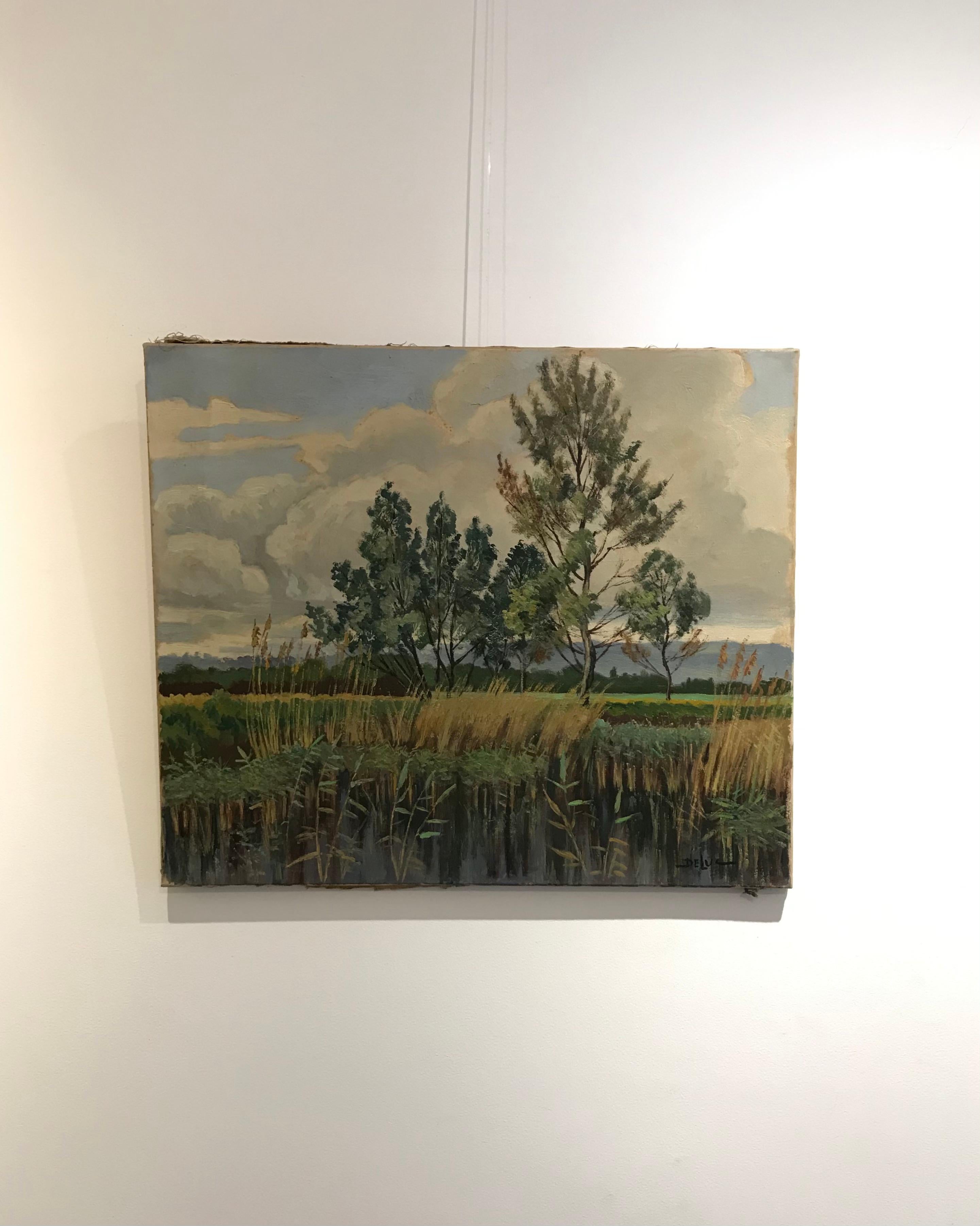 The swamp, Troinex Geneva by John Henry Deluc - oil on canvas - Painting by John Henri Deluc