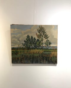 The swamp, Troinex Geneva par John Henry Deluc - huile sur toile