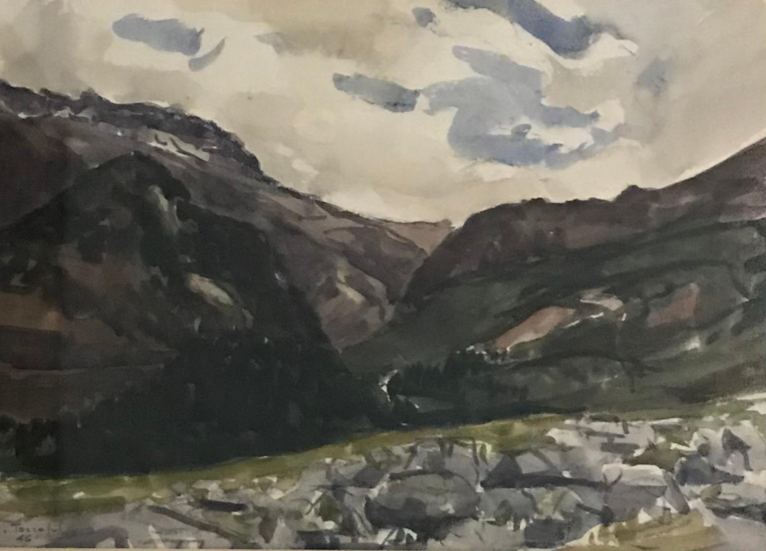 John Torcapel Landscape Painting - Arve Valley