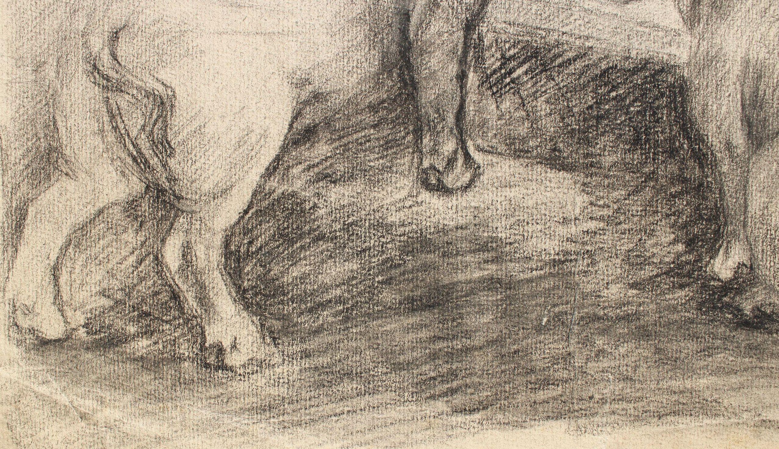At the trough  Paper, charcoal, 51.5x34.5cm - Art by Zigurds Gustins