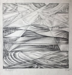 Swallows by the water. 1976, paper, pencil, 45. 5 x 40. 5 cm