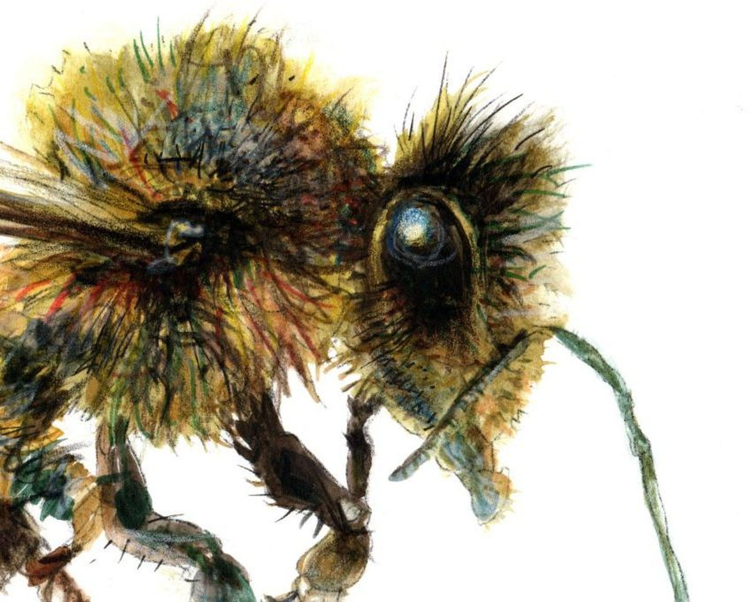 Die Biene von der Seite. Papier, Mischtechnik, 21x30 cm, Papier – Art von Juris Utans