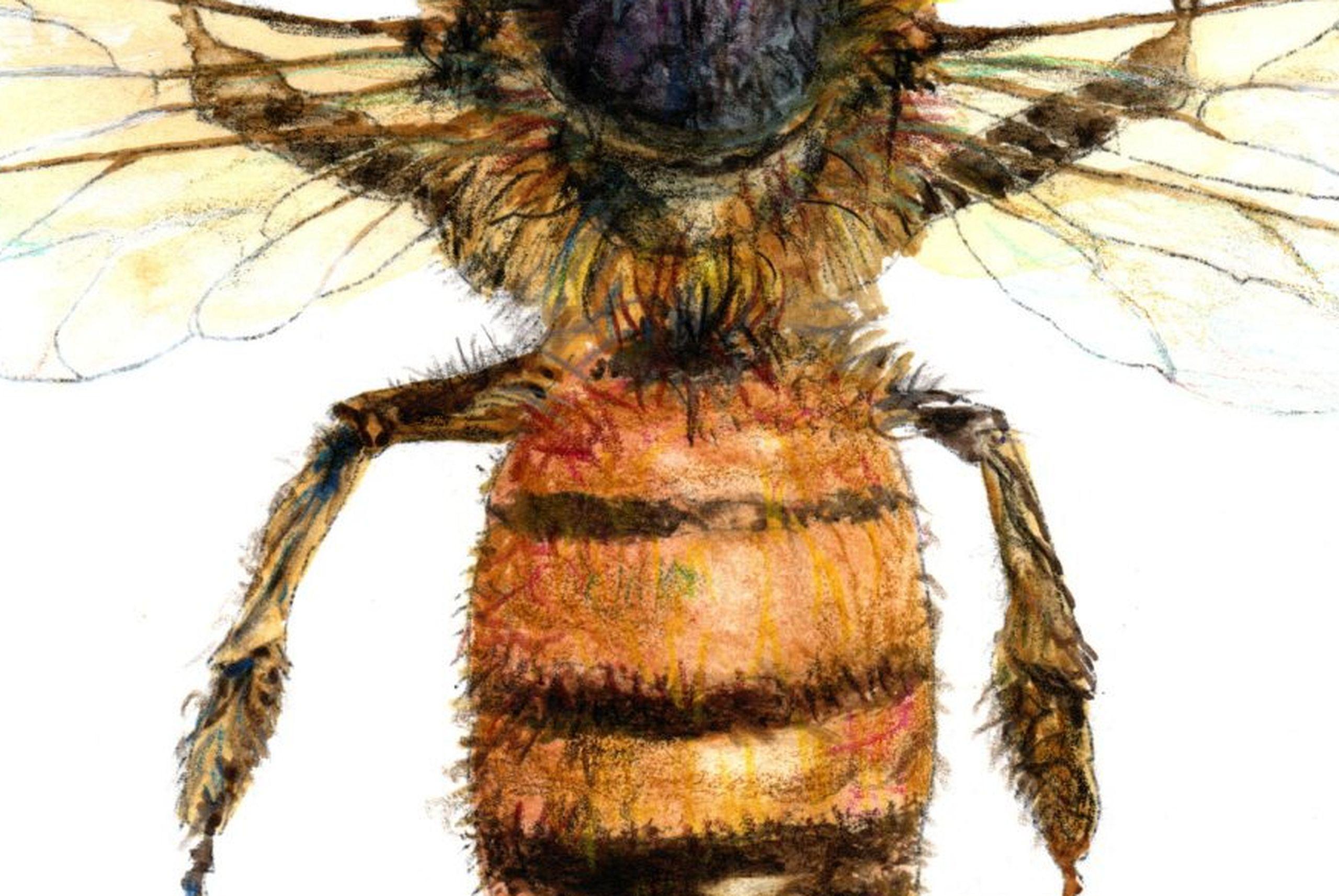 Die Biene von oben. Papier, Mischtechnik, 30x21 cm, Papier – Art von Juris Utans