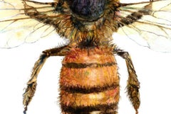 Bee from the top. Paper, mixed media, 30x21 cm