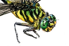 Grande libellule. Papier, techniques mixtes, 21x30 cm