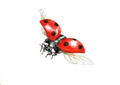 Flying ladybug. Paper, mixed media, 21x30 cm