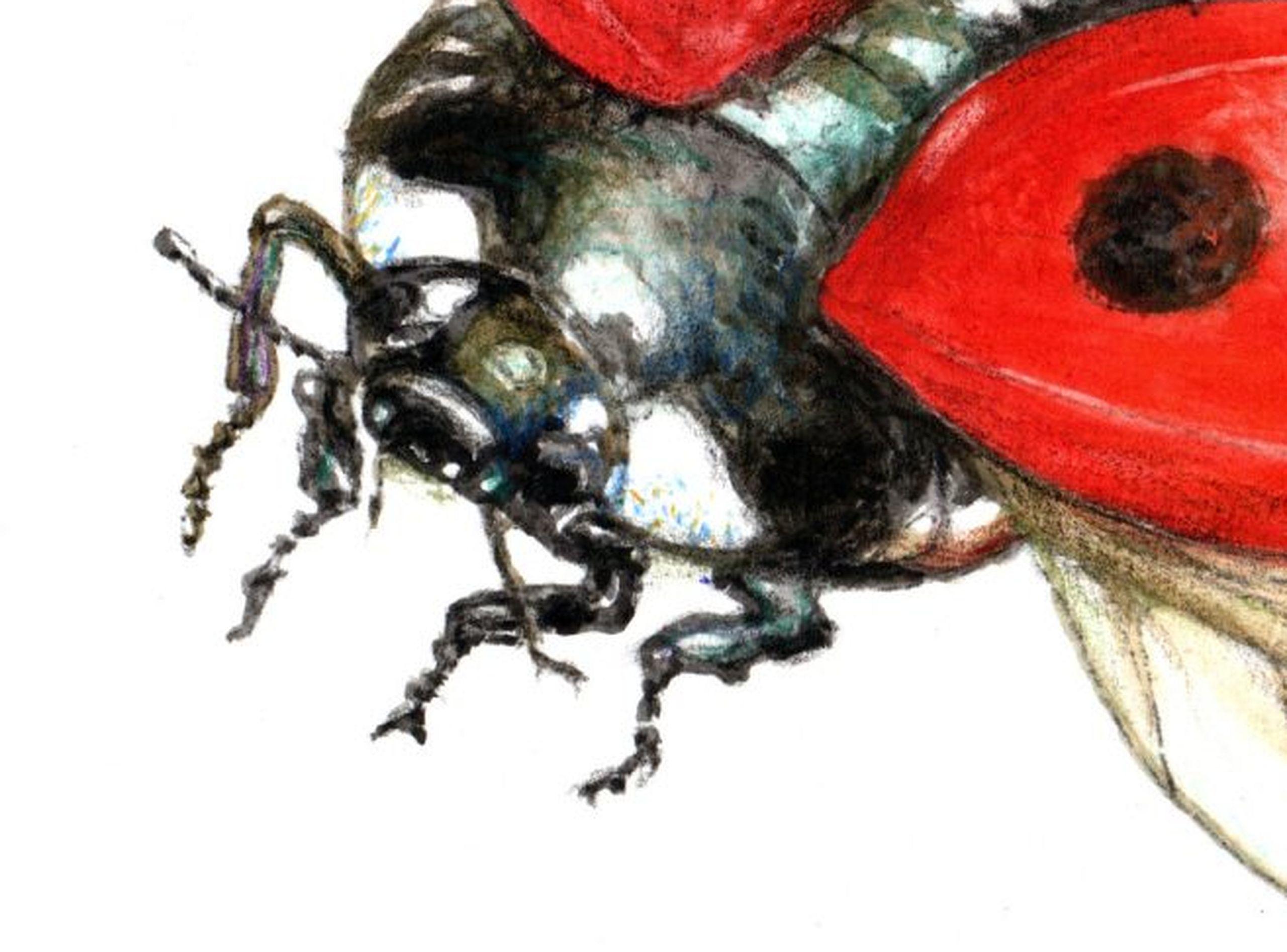 Flying ladybug. Paper, mixed media, 21x30 cm - Art by Juris Utans