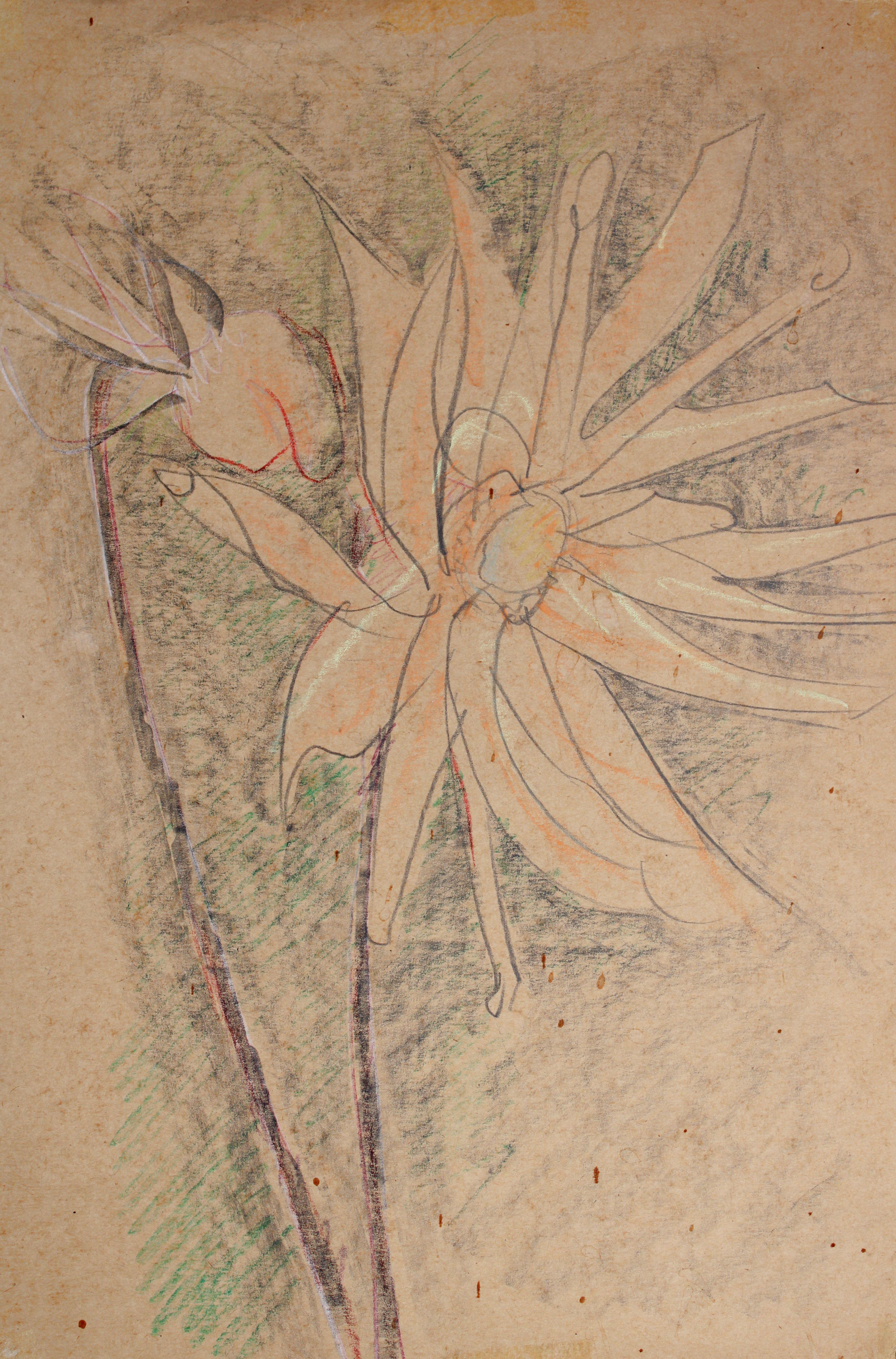 Flor. Papel, pastel 33x27 cm