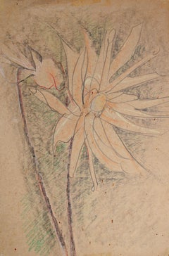 Flower. Paper, pastel 33x27 cm