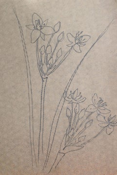 Vintage Flowers study. Paper, pastel 30x20 cm