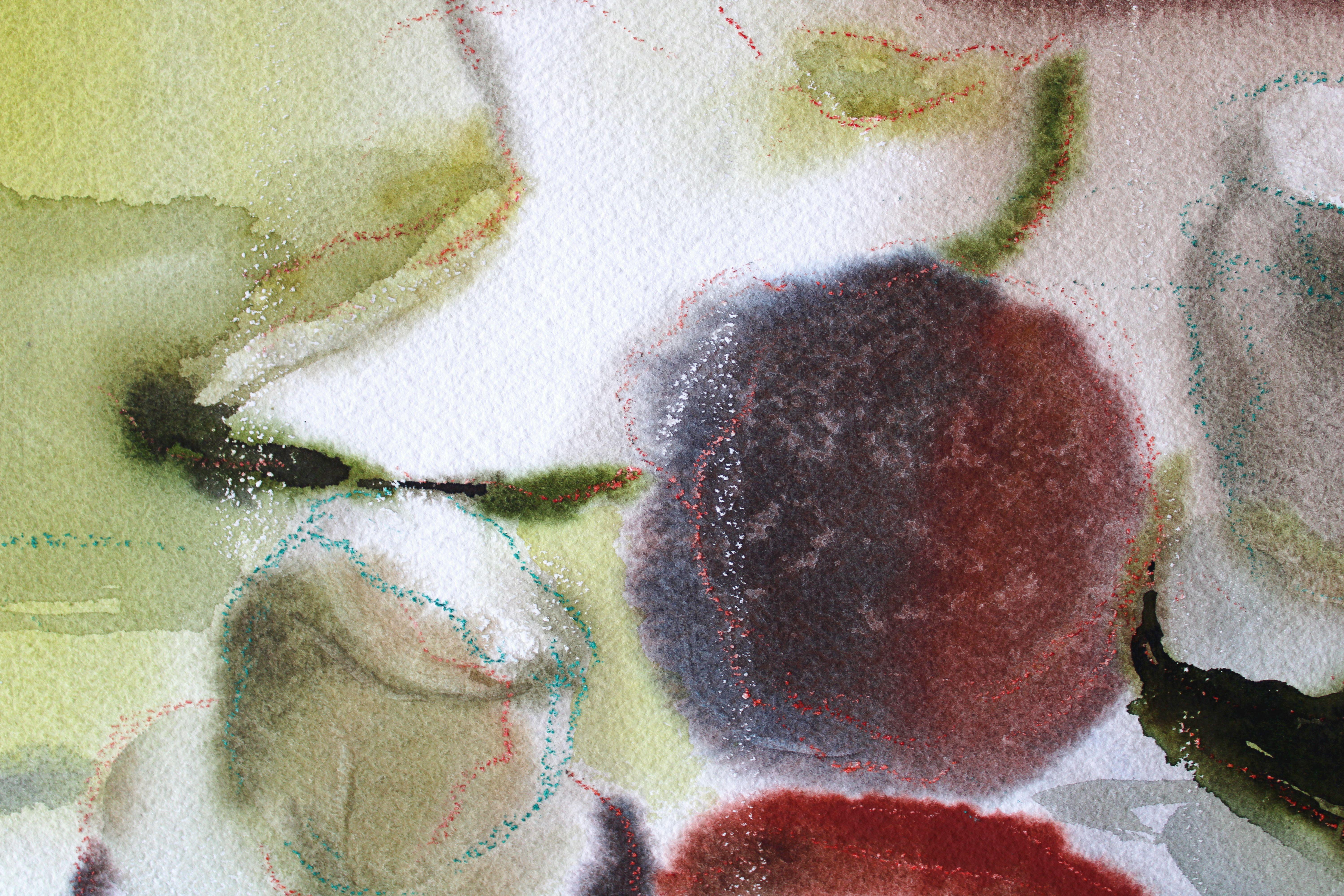 Pilze  1980er Jahre, Aquarell auf Papier, 54x75 cm im Angebot 1