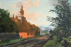 Strada per Peterhof.
