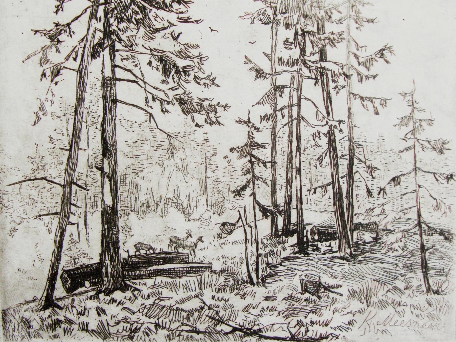 Forest