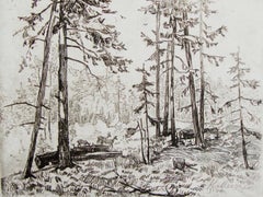 Bosque