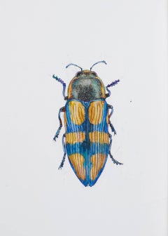 Ocher-blue peace beetle. 2021. Paper, mixed media. 21x30 cm.