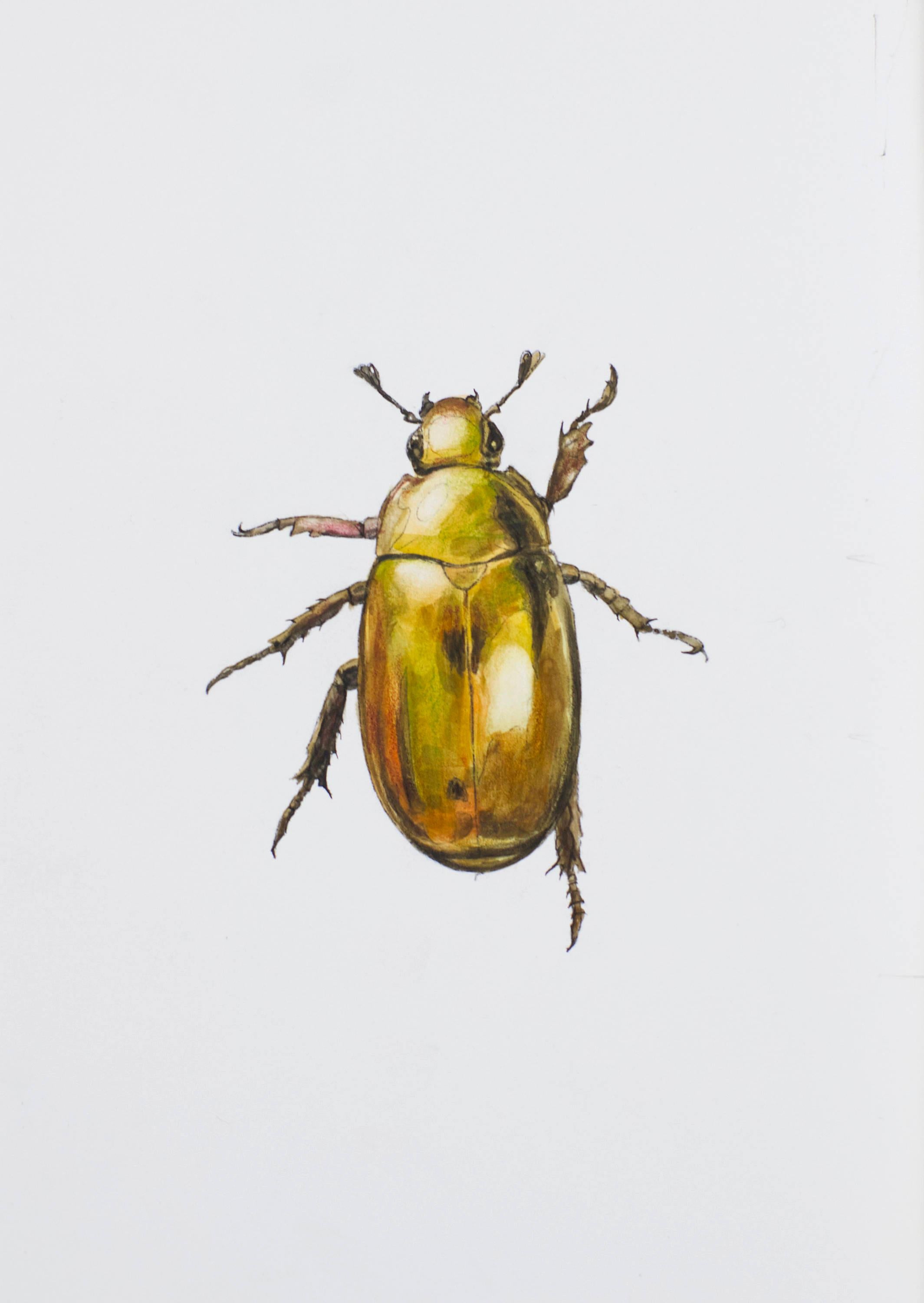 Charming Golden Beetle. 2021. Paper, mixed media. 21x30 cm.