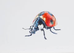 „Ladybug at Rest IV“. 2021. Papier, Mischtechnik. 21 × 30 cm.