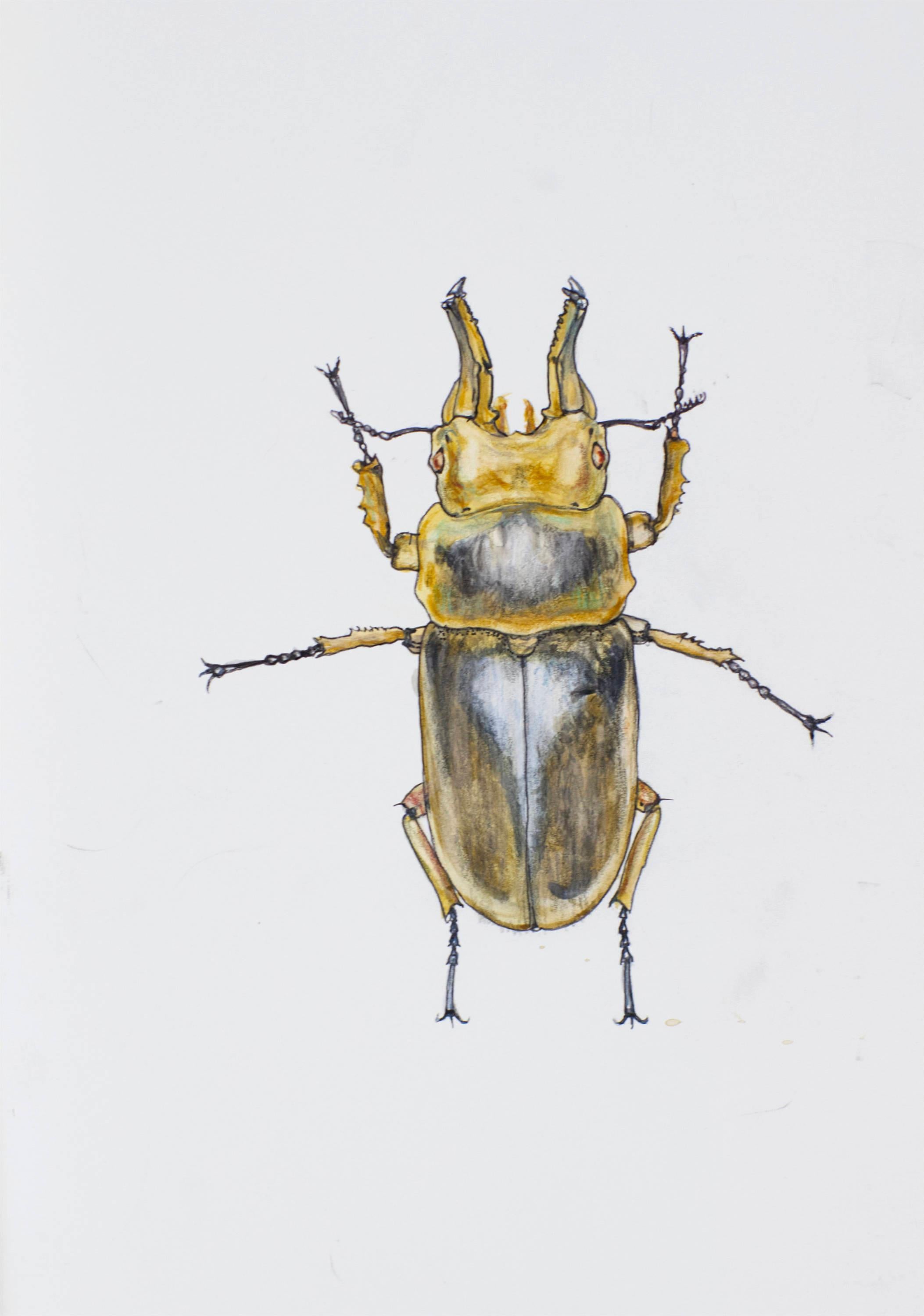 Ocher-gray Beetle. 2021. Paper, mixed media. 21x30 cm.