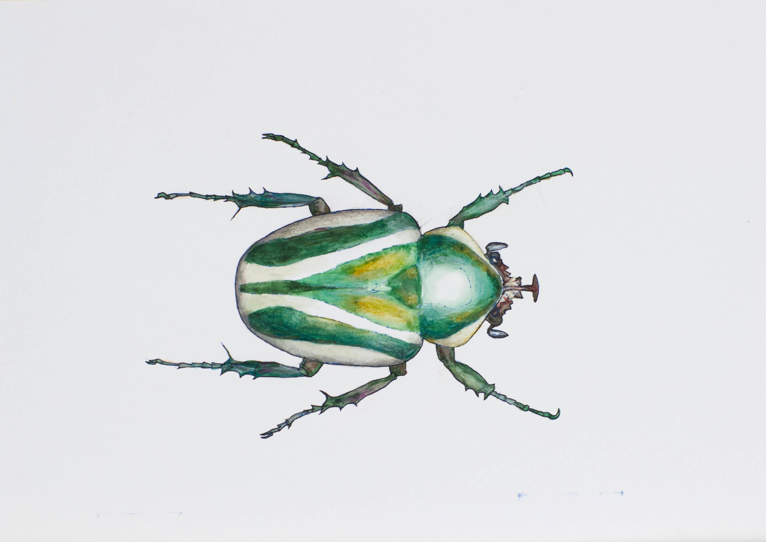 Bright Beetle Mother. 2021. Paper, mixed media. 21x30 cm.