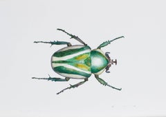 Bright Beetle Mother. 2021. Paper, mixed media. 21x30 cm.