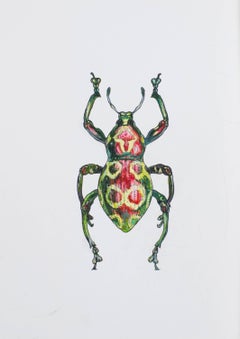 Hybrid Beetle Man. 2021. Paper, mixed media. 21x30 cm.