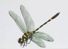 Green Dragonfly. 2021. Paper, mixed media. 21x30 cm.